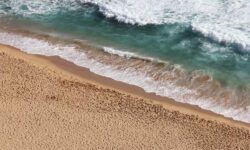 地域貢献ボランティア活動について4