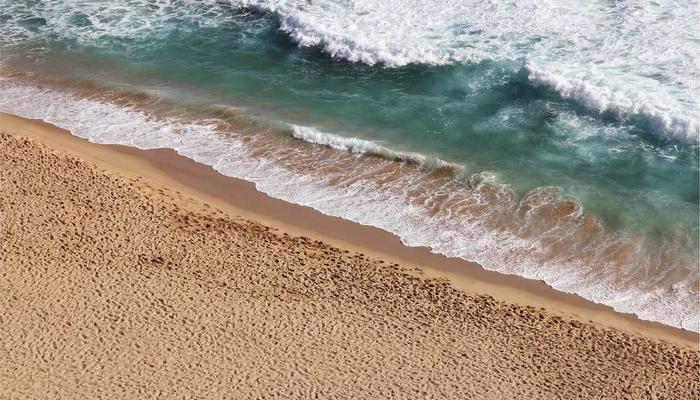 地域貢献ボランティア活動について4